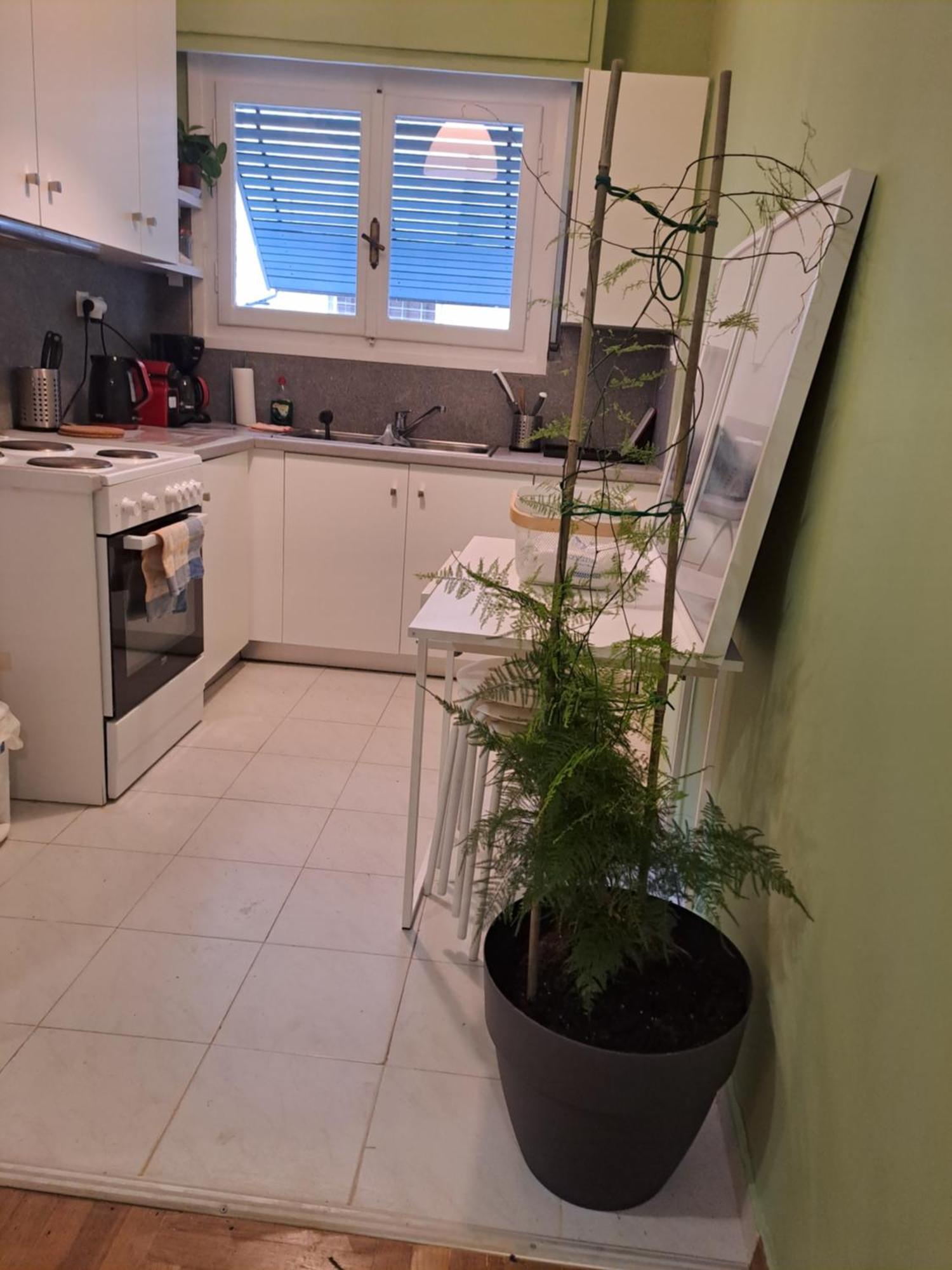 Athens Stadium Path Quiet & Central 4 Persons Apartment Экстерьер фото